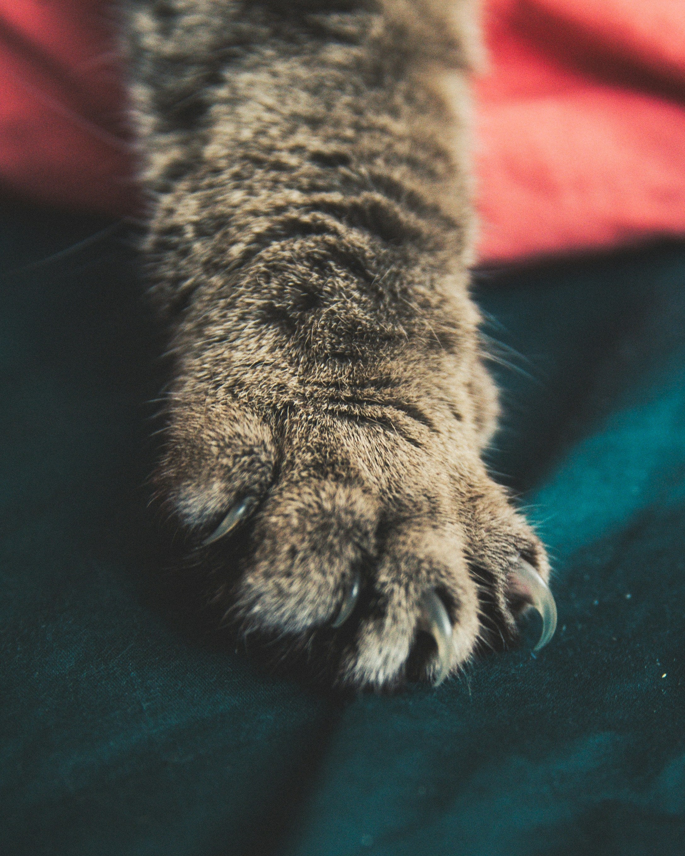 Nail treatment