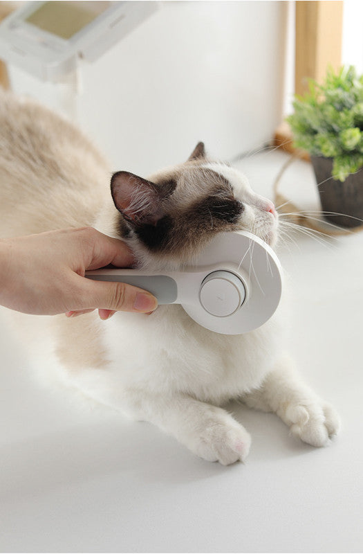 Round Head Pet Massage Comb