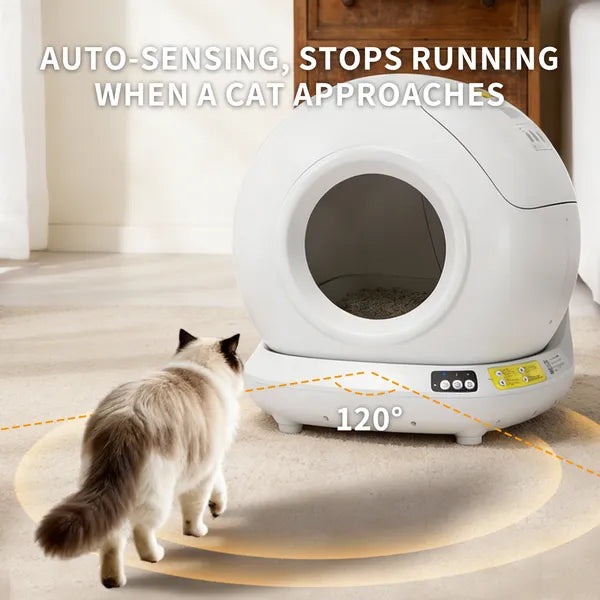 Automatic Cat Litter Box